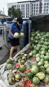 鲁山卖鞋吃瓜,吃瓜群众变身鞋业达人