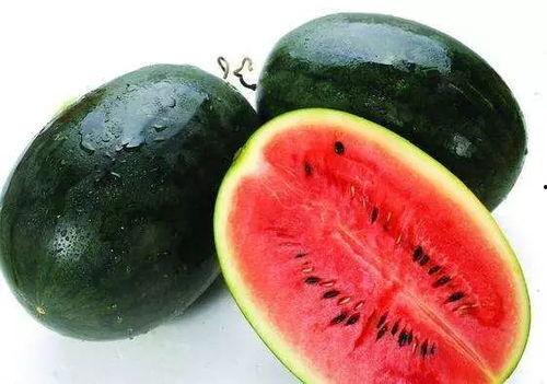 吃遍满城所有瓜,一场别开生面的美食之旅