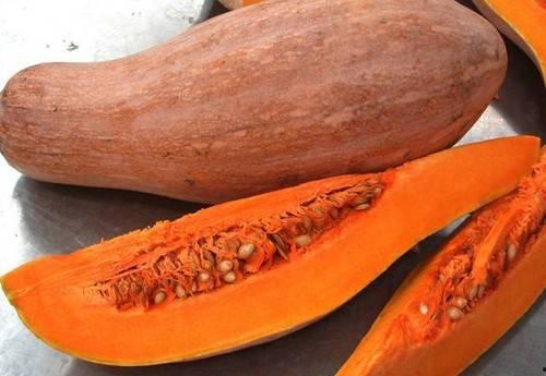 吃楠瓜不吐楠瓜皮,吃楠瓜不吐楠瓜皮的奇妙之旅