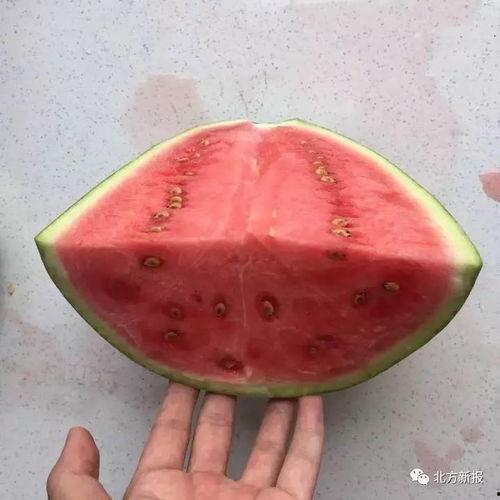 吃瓜终被人吃瓜,揭秘“吃瓜终被人吃瓜”的真相与反思