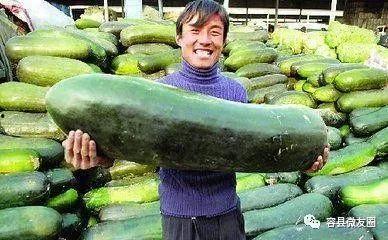 不会让人吃瓜,远离八卦，聚焦真实故事