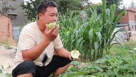 老张吃大瓜,揭秘娱乐圈幕后故事