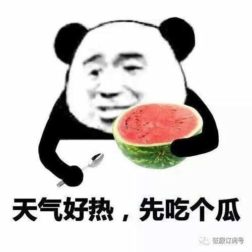 吃瓜玩耍,揭秘网络娱乐背后的趣味人生