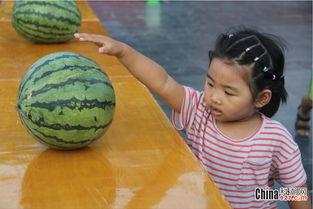 吃瓜玩耍,揭秘网络娱乐背后的趣味人生