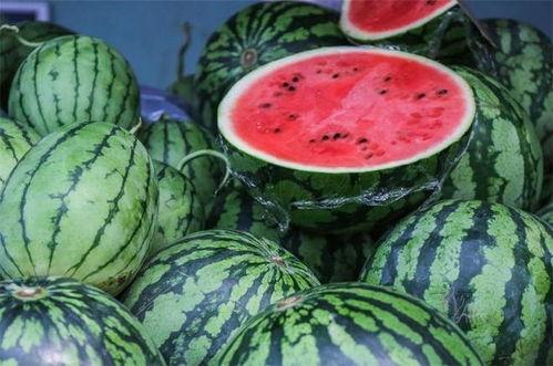 带你吃瓜中国,揭秘中国网络热点背后的故事