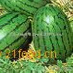 彩塘最新吃瓜视频,揭秘幕后真相，带你领略网络风云