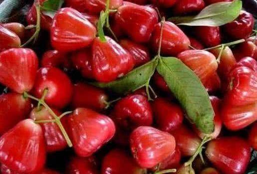 莲雾最新吃瓜视频,最新吃瓜视频揭秘美味秘诀