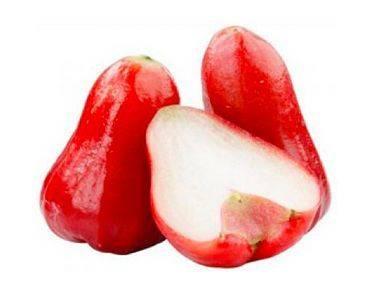 莲雾最新吃瓜视频,最新吃瓜视频揭秘美味秘诀