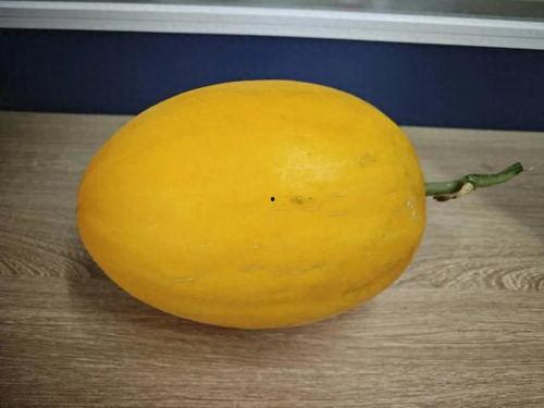 桂林路免费吃瓜,夏日炎炎甜蜜来袭