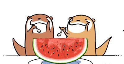 吃瓜吃到自担,自担之旅的甜蜜与苦涩