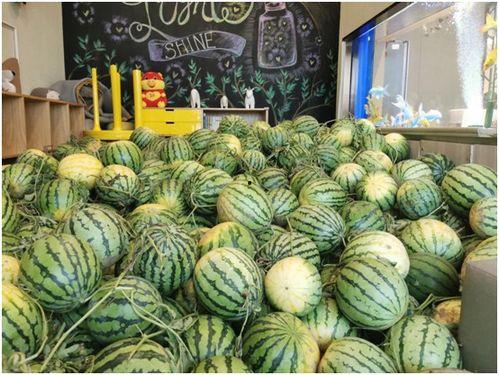 全程吃瓜,揭秘娱乐圈幕后真相