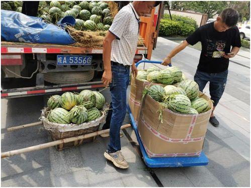 全程吃瓜,揭秘娱乐圈幕后真相