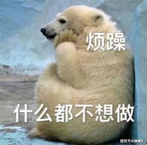 吃瓜群众路过图片,揭秘幕后真相