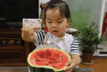 吃瓜的三观,吃瓜群众视角下的社会百态