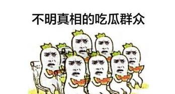 吃瓜群众吐瓜子,吃瓜群众吐瓜子背后的故事