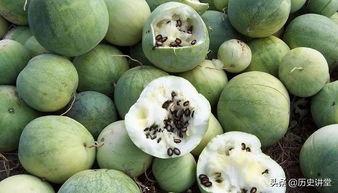 吃瓜群众吐瓜子,吃瓜群众吐瓜子背后的故事