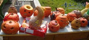 吃瓜吃糖果,吃瓜吃糖果的欢乐时光