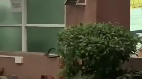 泗水吃瓜新闻,一场引发热议的网络狂欢