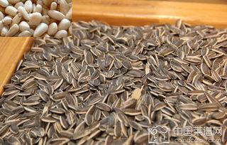 炒货吃瓜,品味生活百态