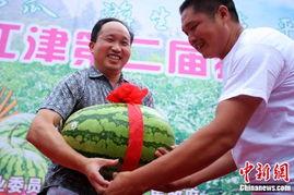 重庆吃瓜博主,重庆吃瓜博主带你探秘山城美食江湖