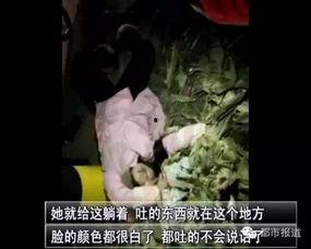 少女吃瓜中毒陪葬,一场悲剧背后的食品安全警钟