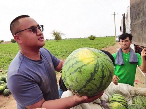 新疆最新吃瓜新闻,揭秘神秘事件背后的真相