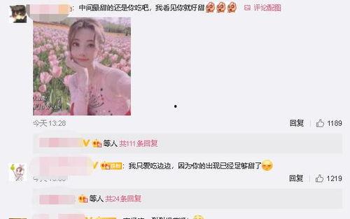 我的吃瓜粉丝小说,揭秘吃瓜粉丝背后的小说世界