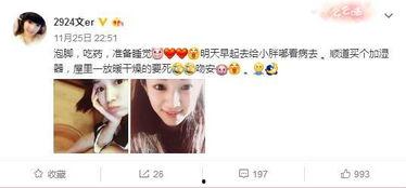 我的吃瓜粉丝小说,揭秘吃瓜粉丝背后的小说世界