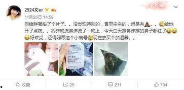 我的吃瓜粉丝小说,揭秘吃瓜粉丝背后的小说世界