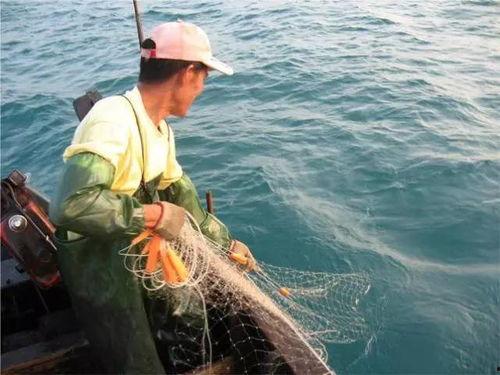 汕尾渔民吃瓜事件,一场引发社会关注的争议风波