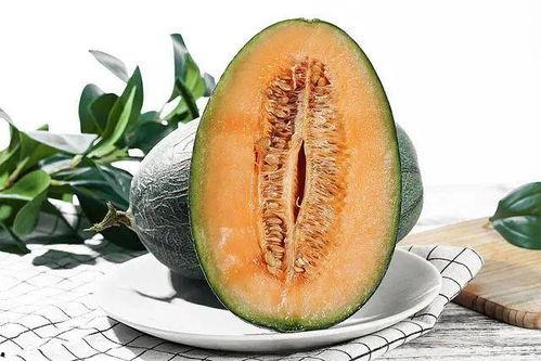 什么季节吃瓜最快,畅享清凉——四季吃瓜指南