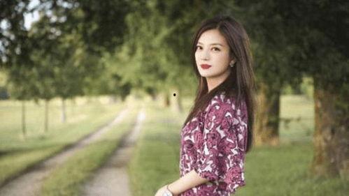 吃瓜 赵薇,吃瓜群众眼中的娱乐圈风云人物