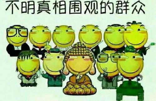 全球吃瓜群众乐子人