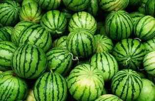 泡泡吃瓜群,揭秘网络社交圈的趣味与争议