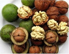 瓜娃子吃核桃,趣味横生的核桃食用体验