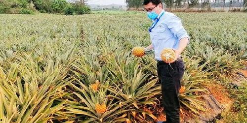 电科吃瓜,一场关于“吃瓜”的狂欢盛宴