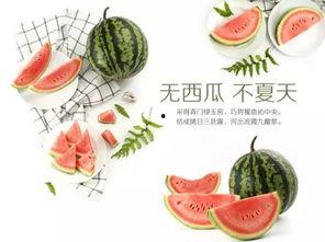 每日聪慧吃瓜潍坊,揭秘潍坊街头美食风云