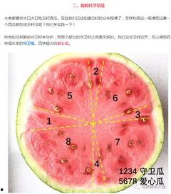 吃籽瓜方法,尽享夏日清凉滋味