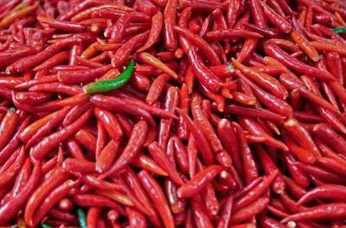 吃瓜博主辣椒,揭秘吃瓜博主辣椒的独特魅力