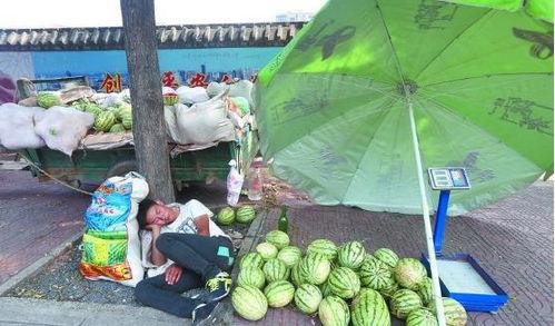 滨江河吃瓜,夏日吃瓜盛宴