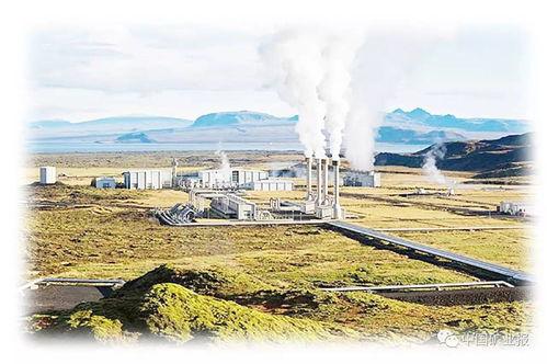 吃瓜雄县,揭秘我国农村新现象背后的故事