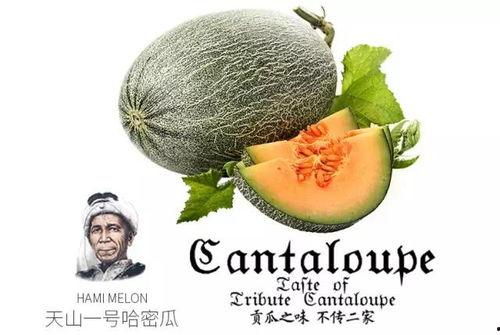 吃瓜32号,一场网络热点的背后故事