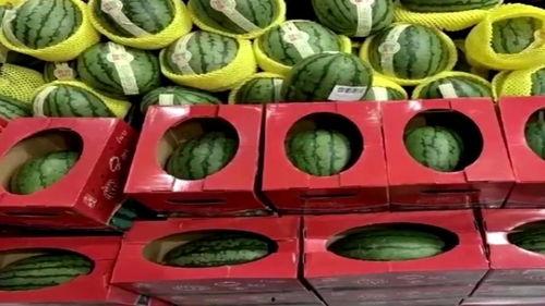 好运吃瓜群众,揭秘网络热议背后的趣味与真相