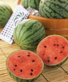 大丰收吃瓜,瓜果飘香，共享丰收喜悦