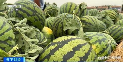 最新热门吃瓜,揭秘明星背后的惊人真相！