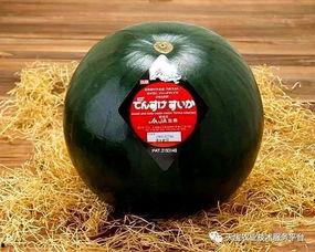 文产吃瓜,揭秘娱乐圈幕后故事