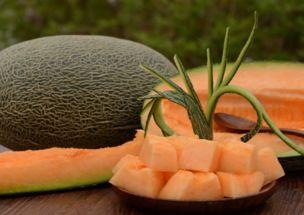 马帮人吃哈密瓜,穿越丝绸之路的哈密瓜之旅