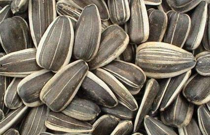 孕期可以吃淡水瓜吗