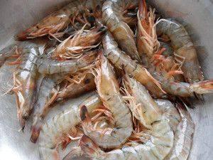 吃基围虾可以吃瓜吗,健康搭配的饮食新主张