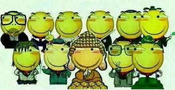 吃瓜群众海阳,网络红人的崛起之路